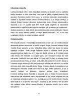 Referāts 'Eiropas Savienības industriālā politika', 14.