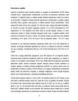 Referāts 'Eiropas Savienības industriālā politika', 15.