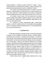 Referāts 'Eiropas Savienības industriālā politika', 20.