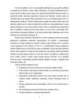 Referāts 'Daugavpils tūrisma firmu piedāvājumu analīze', 7.