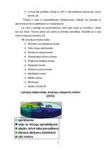 Referāts 'Daugavpils tūrisma firmu piedāvājumu analīze', 8.