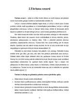 Referāts 'Daugavpils tūrisma firmu piedāvājumu analīze', 10.