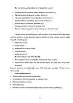 Referāts 'Daugavpils tūrisma firmu piedāvājumu analīze', 11.