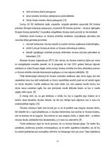 Referāts 'Daugavpils tūrisma firmu piedāvājumu analīze', 17.