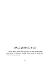 Referāts 'Daugavpils tūrisma firmu piedāvājumu analīze', 19.
