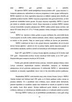 Referāts 'Daugavpils tūrisma firmu piedāvājumu analīze', 23.