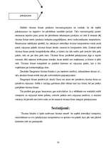 Referāts 'Daugavpils tūrisma firmu piedāvājumu analīze', 26.