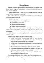 Referāts 'Daugavpils tūrisma firmu piedāvājumu analīze', 34.