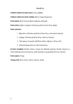 Referāts 'Ķīnas kultūra divdesmitā gadsimta otrajā pusē', 2.