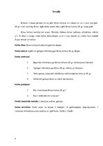 Referāts 'Ķīnas kultūra divdesmitā gadsimta otrajā pusē', 6.