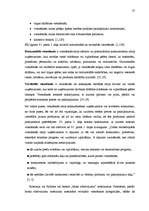 Diplomdarbs 'ES konkurences politika un jauno dalībvalstu konkurences politiku attīstība pirm', 25.