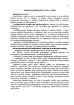 Referāts 'Kognitīvisma pedagoģiskās teorijas analīze', 2.