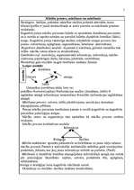 Referāts 'Kognitīvisma pedagoģiskās teorijas analīze', 5.