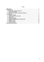 Biznesa plāns 'SIA "Estetik"', 2.