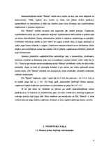 Biznesa plāns 'SIA "Estetik"', 4.