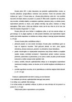 Biznesa plāns 'SIA "Estetik"', 5.