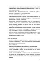 Biznesa plāns 'SIA "Estetik"', 6.