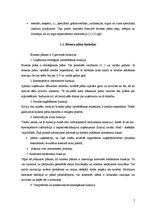 Biznesa plāns 'SIA "Estetik"', 7.