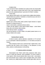 Biznesa plāns 'SIA "Estetik"', 12.