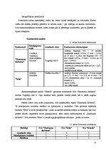 Biznesa plāns 'SIA "Estetik"', 18.