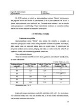 Biznesa plāns 'SIA "Estetik"', 20.