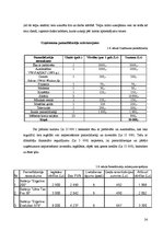 Biznesa plāns 'SIA "Estetik"', 24.