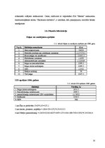 Biznesa plāns 'SIA "Estetik"', 28.