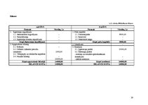 Biznesa plāns 'SIA "Estetik"', 29.