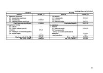 Biznesa plāns 'SIA "Estetik"', 30.