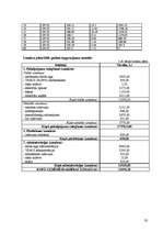 Biznesa plāns 'SIA "Estetik"', 32.