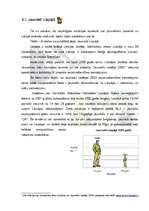 Referāts 'Demogrāfija un jaunieši', 12.