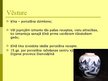 Prezentācija 'Porcelāns', 6.