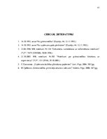 Prakses atskaite 'Практика в строительной фирме', 41.