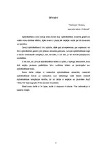 Referāts 'AAS "Balva" tirgus analīze', 2.