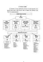 Referāts 'AAS "Balva" tirgus analīze', 8.