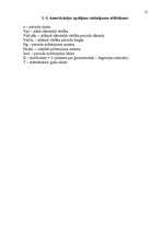 Referāts 'Pamatlīdzekļu ekonomiskā nozīme uzņēmējdarbībā', 12.