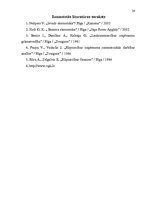 Referāts 'Pamatlīdzekļu ekonomiskā nozīme uzņēmējdarbībā', 26.