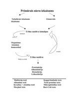 Konspekts 'Urīna koncentrācijas mērīšana', 5.