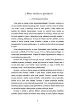 Referāts 'Bērna tiesības un pienākumi', 4.