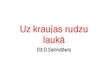 Prezentācija 'Dž.D.Selindžers "Uz kraujas rudzu laukā"', 1.