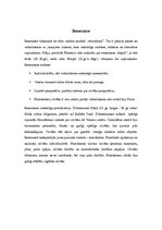 Referāts 'Dižrenesanse Itālijā. Rafaēls Santi', 2.
