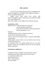 Prakses atskaite 'Mazbērnu prakse pirmsskolā', 19.