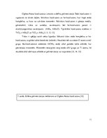 Konspekts 'Katalizatori polimerizācijas reakcijām', 11.