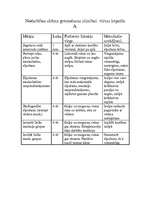 Konspekts 'Pirmā palīdzība', 2.