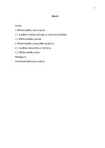 Referāts 'Fiktīvo laulību noslēgšanas pamati un sekas', 2.