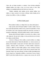 Referāts 'Fiktīvo laulību noslēgšanas pamati un sekas', 9.