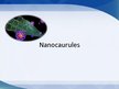 Prezentācija 'Nanocaurules', 1.