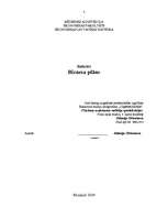 Referāts 'Biznesa plāna izveide', 1.