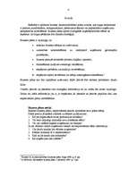 Referāts 'Biznesa plāna izveide', 2.