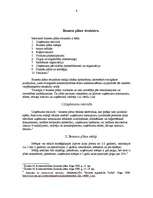 Referāts 'Biznesa plāna izveide', 4.